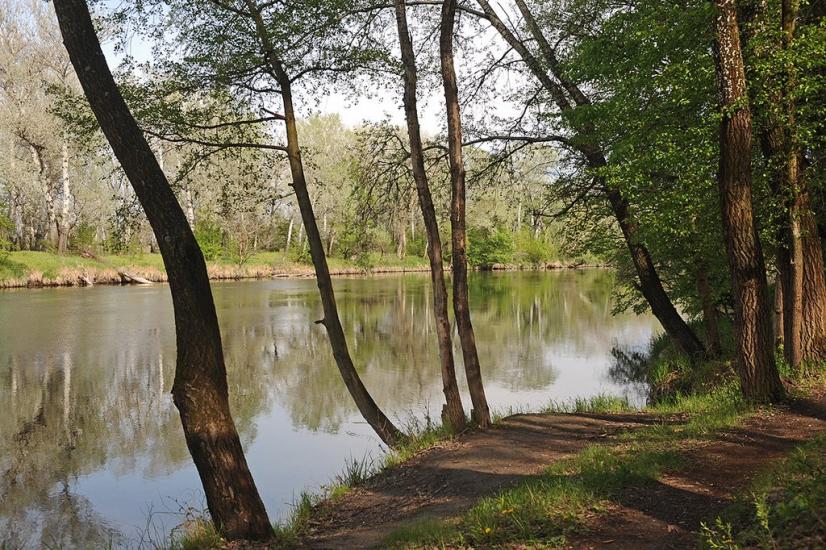 Богородичне з panoramio.com - Богородичное