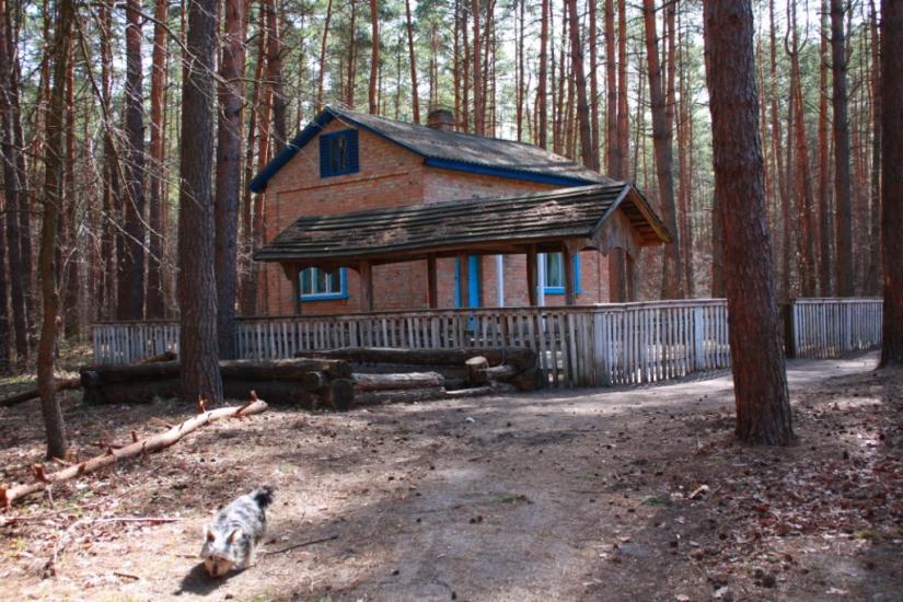 Хоцьки з panoramio.com - Хоцки