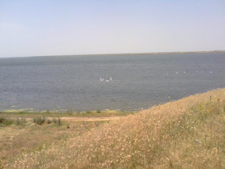 Чорноморка з panoramio.com - Черноморка