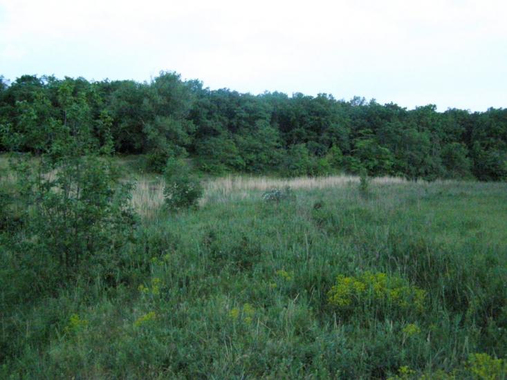 Новопилипівка з panoramio.com - Новопилиповка