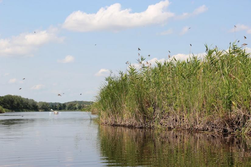 Котовка з panoramio.com - Котовка