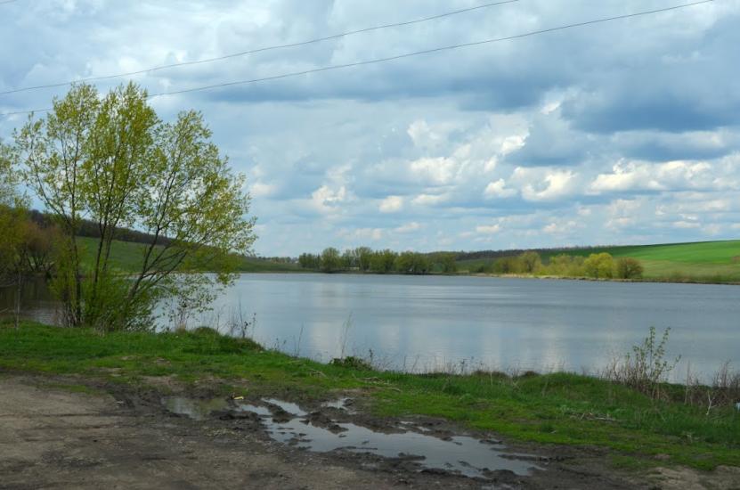 Городецьке з panoramio.com - Gorodetske