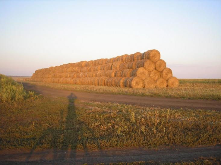 Висока Яруга з panoramio.com - Висока Яруга