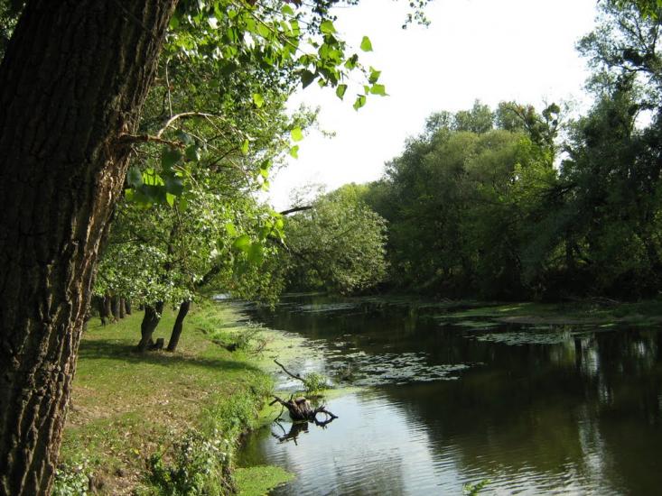 Лащова з panoramio.com - Лащовая