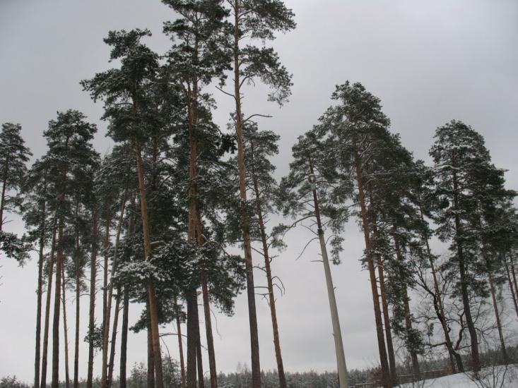 Зазим'я з panoramio.com - Зазимье