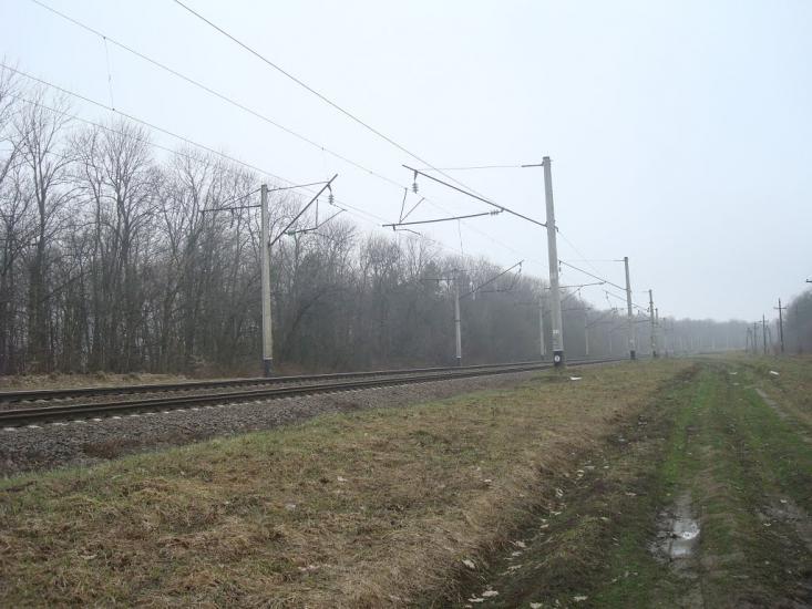 Васютинці з panoramio.com - Васютинці