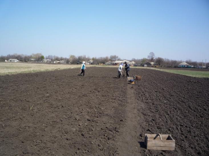 Піски-Радьківські з panoramio.com - Pisky-Radkivski