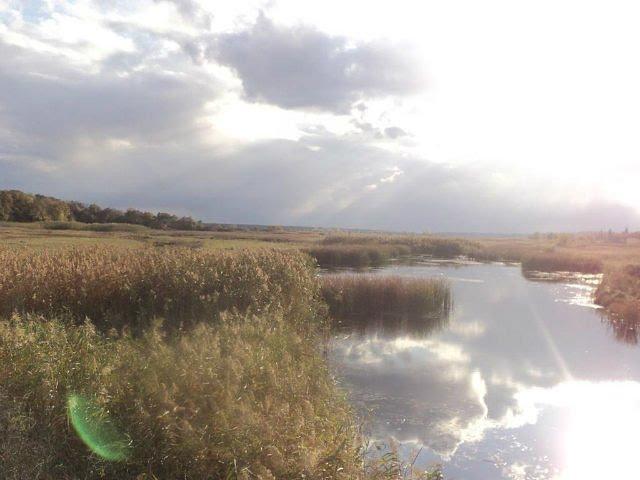 Коновалівка з panoramio.com - Коновалівка