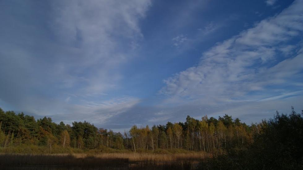 Дідовичі з panoramio.com - Дедовичи