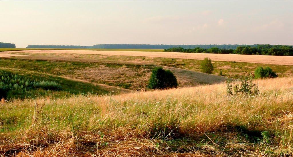 Дзензелівка з panoramio.com - Дзензелівка