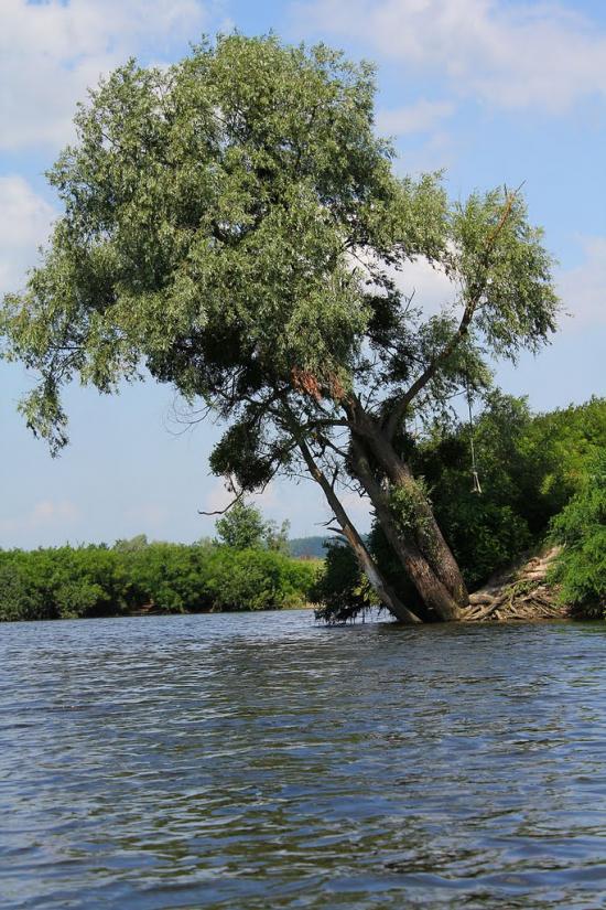 Сушки з panoramio.com - Сушки