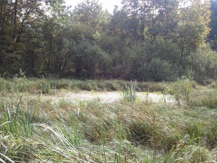 Малий Любінь з panoramio.com - Малий Любінь