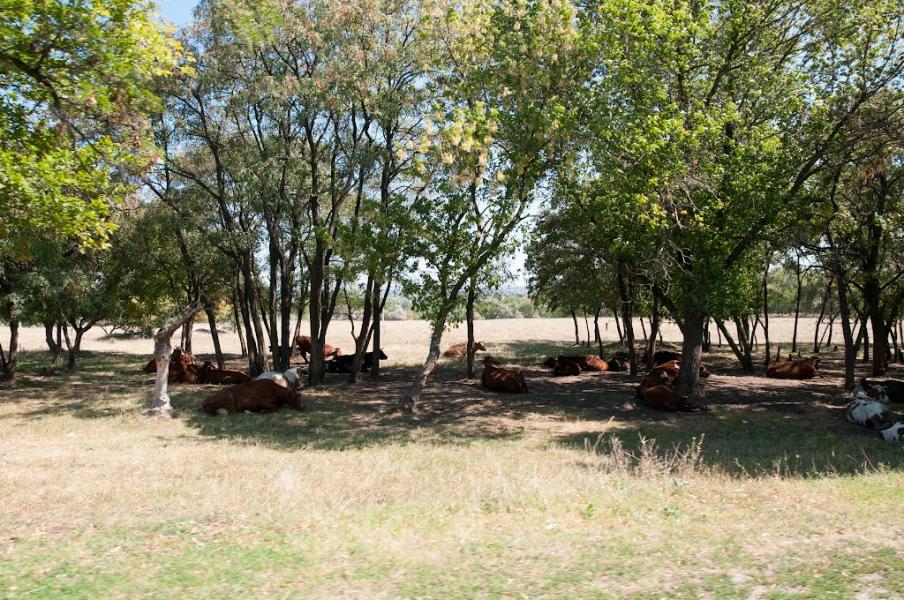 Біла Гора з panoramio.com - Белая Гора