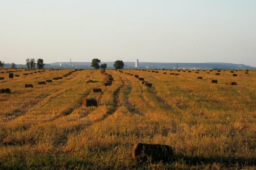 Новомайське з panoramio.com - Новомайское