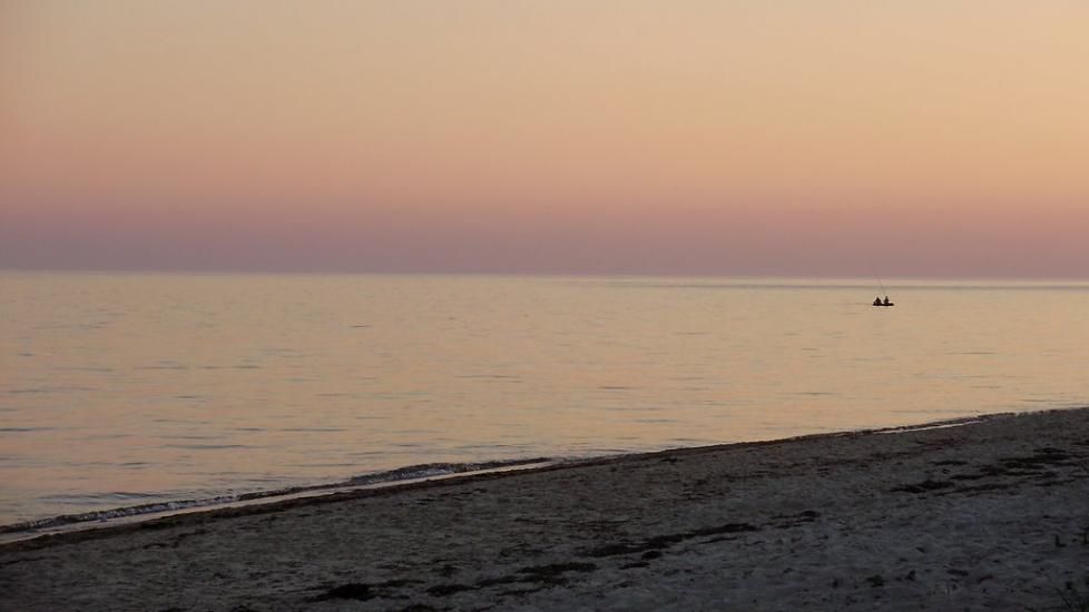 Більшовик з panoramio.com - Большевик
