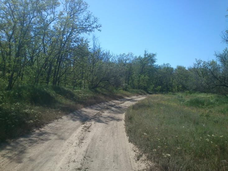 Орджонікідзе з panoramio.com - Орджоникидзе