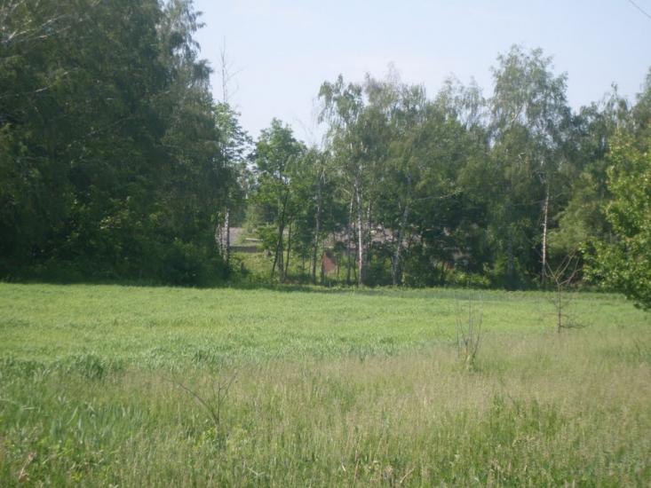 Кузьминці з panoramio.com - Кузьминцы