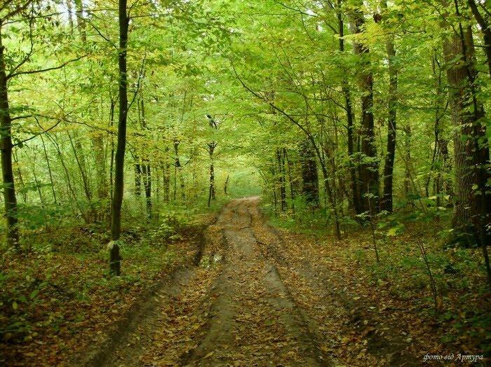 Звози з panoramio.com - Звозы