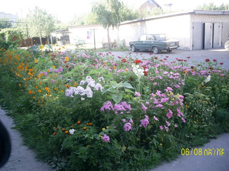 Буринь з panoramio.com - Бурынь