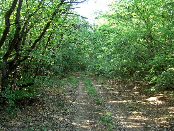 Інкерман з panoramio.com - Інкерман