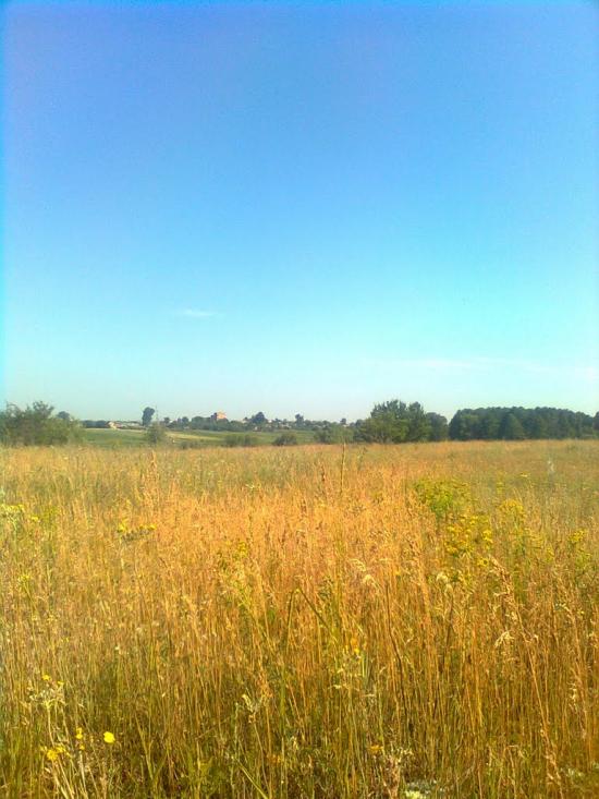 Попівка з panoramio.com - Поповка