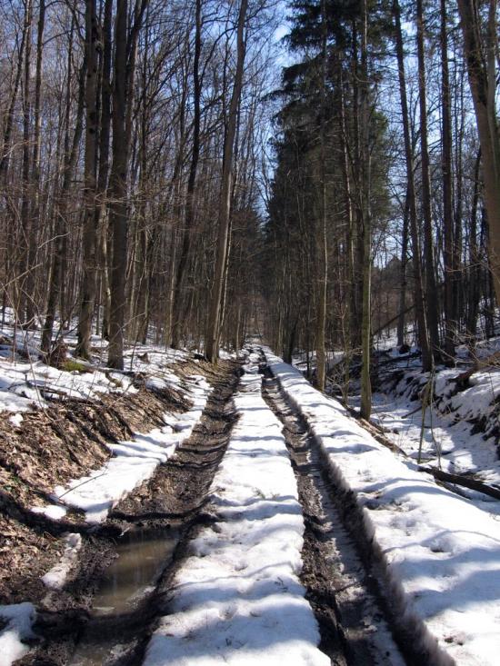 Битиця з panoramio.com - Битица