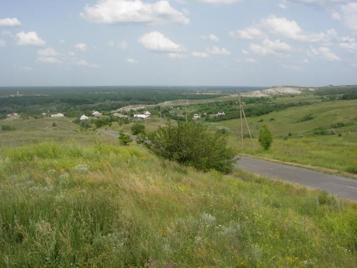 Крива Лука з panoramio.com - Крива Лука