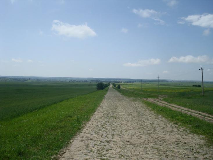 Черепова з panoramio.com - Черепова