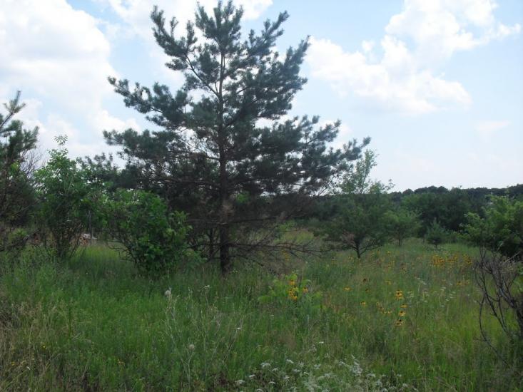 Українське з panoramio.com - Украинское