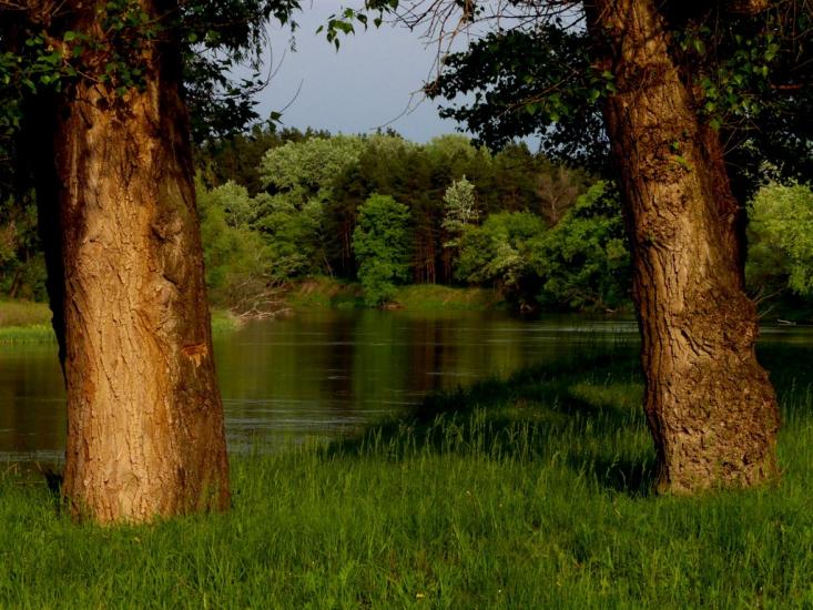 Слов'яносербськ з panoramio.com - Славяносербск
