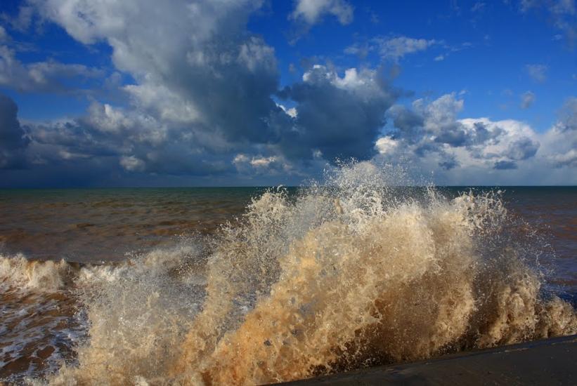 Берегове з panoramio.com - Берегово