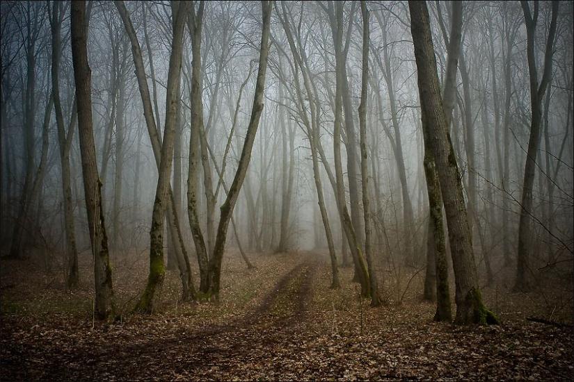 Мала Стариця з panoramio.com - Мала Стариця