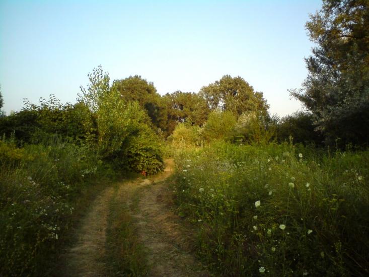 Вилок з panoramio.com - Вилок