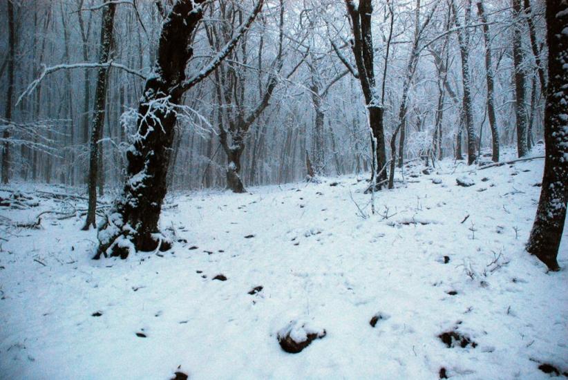 Малий Маяк з panoramio.com - Малий Маяк