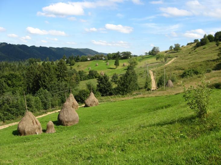 Розтоки з panoramio.com - Розтоки