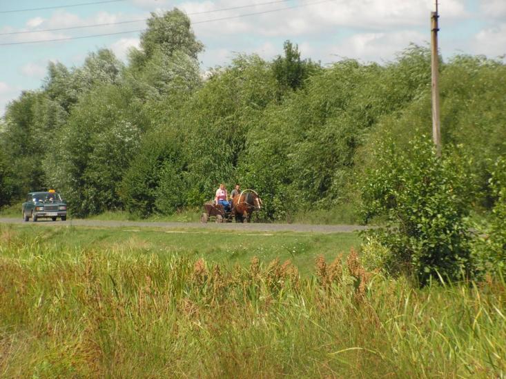 Шацьк з panoramio.com - Шацк