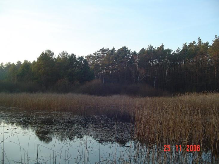 Дідовичі з panoramio.com - Дедовичи