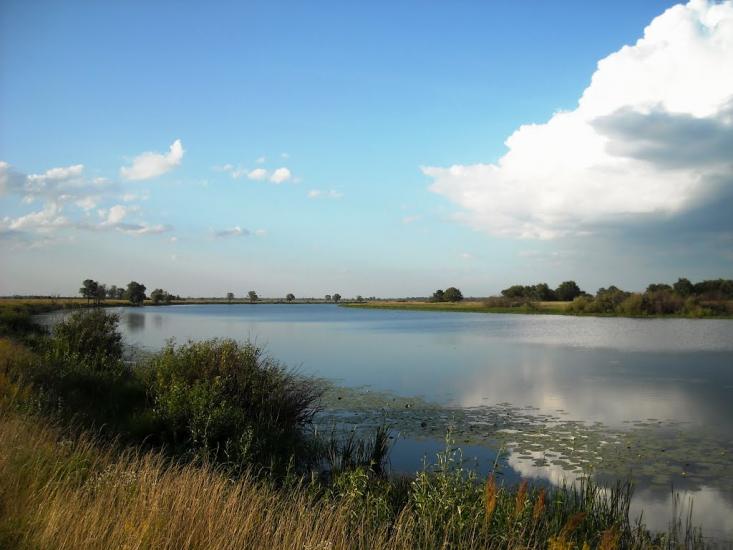 Нижча Дубечня з panoramio.com - Низшая Дубечня