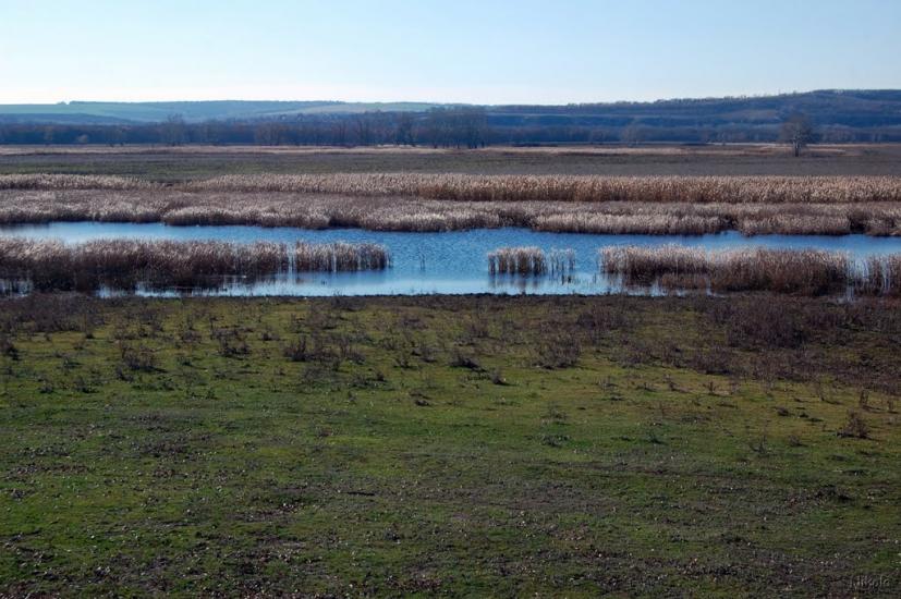 Борівське з panoramio.com - Борівське
