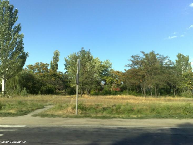 Кам'янське з panoramio.com - Kamyanske