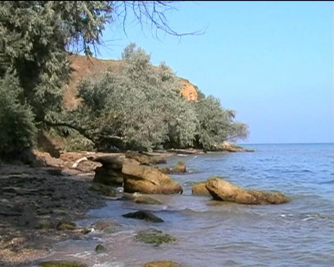 Андріївка з panoramio.com - Andriyivka