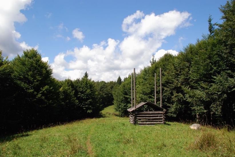 Усть-Чорна з panoramio.com - Усть-Чорна