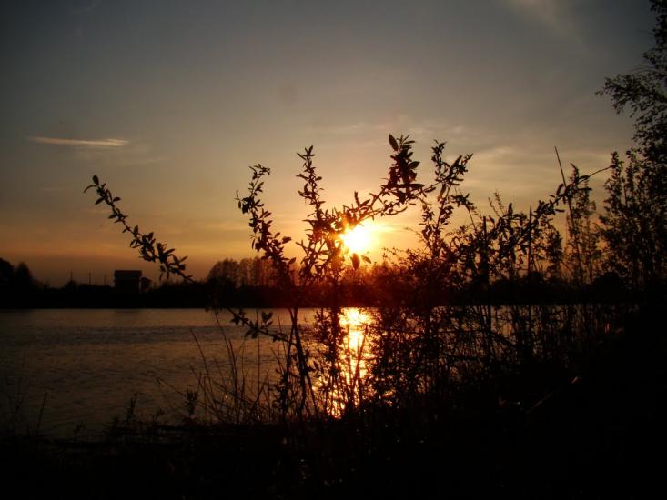 Забір'я з panoramio.com - Zabirya