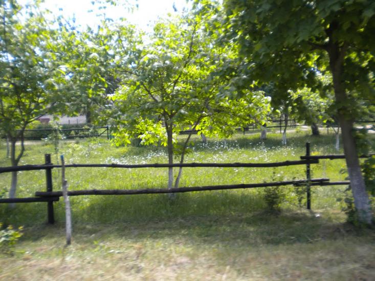 Кунин з panoramio.com - Кунин