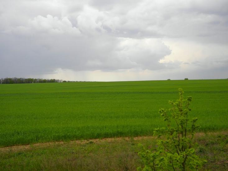 Киселівка з panoramio.com - Киселівка