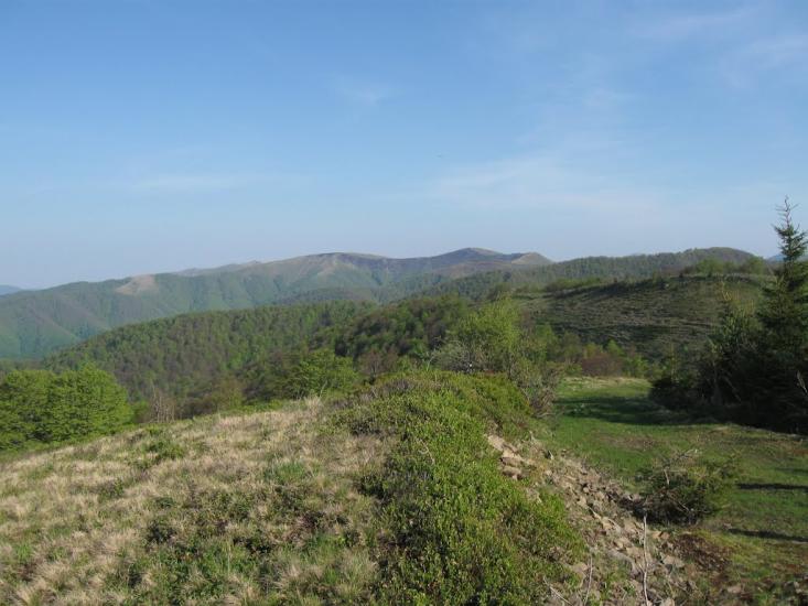 Усть-Чорна з panoramio.com - Усть-Чорна