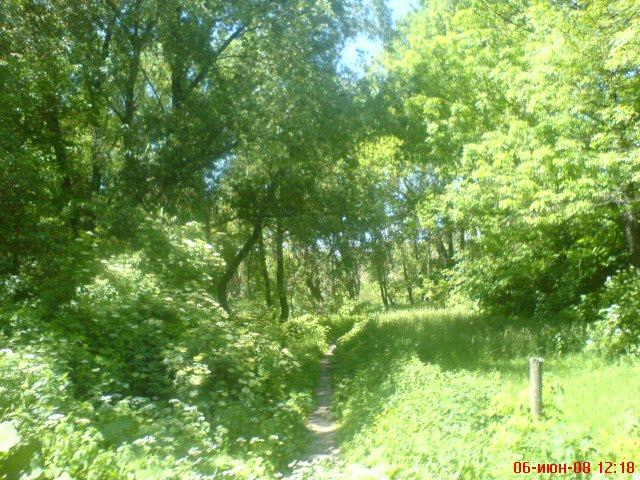 Попівка з panoramio.com - Поповка