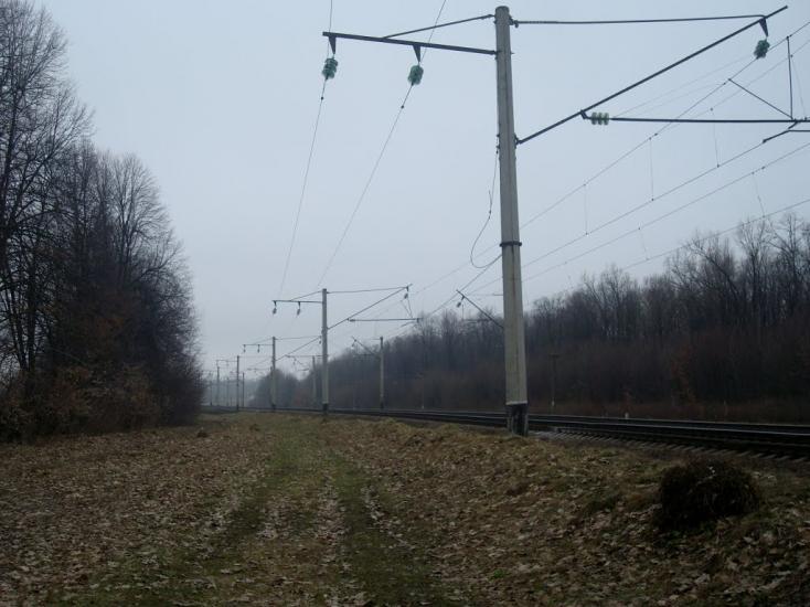 Васютинці з panoramio.com - Васютинцы