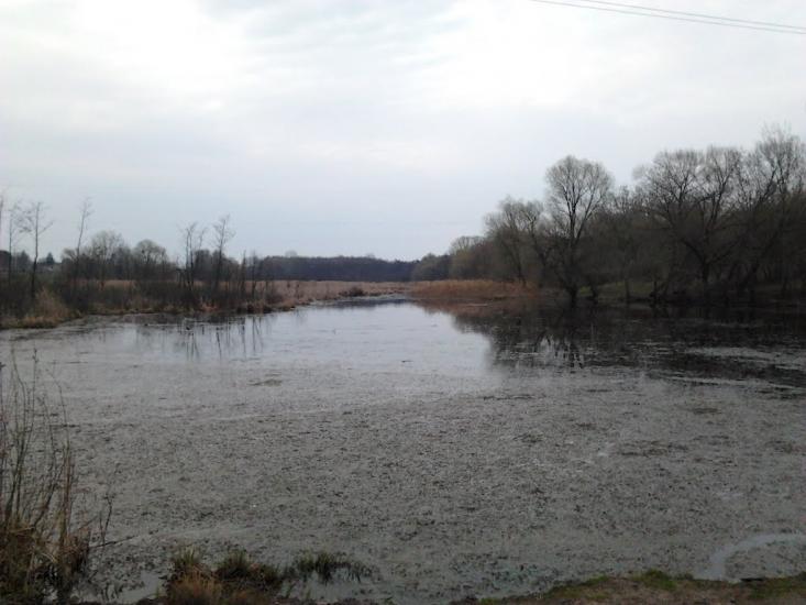 Рогачі з panoramio.com - Рогачи