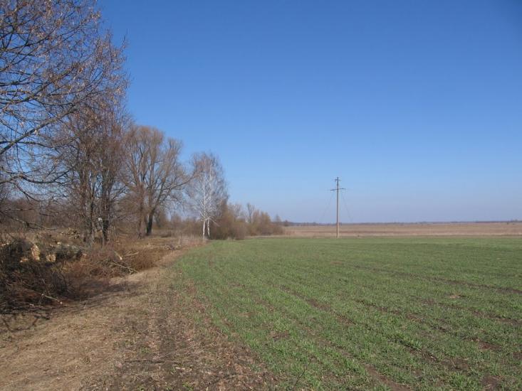 Петрушин з panoramio.com - Петрушин
